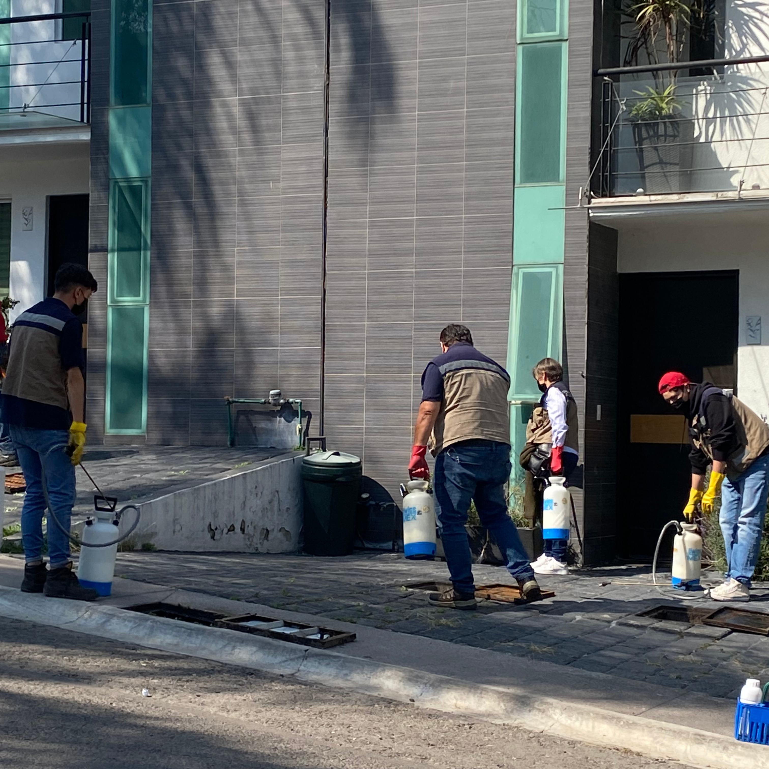 Fumigaciones profesionales